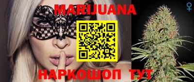 сатива Коммунар
