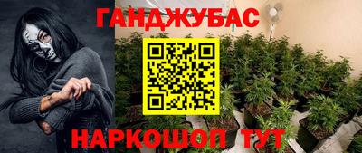 сатива Коммунар