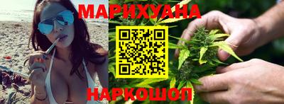 сатива Коммунар
