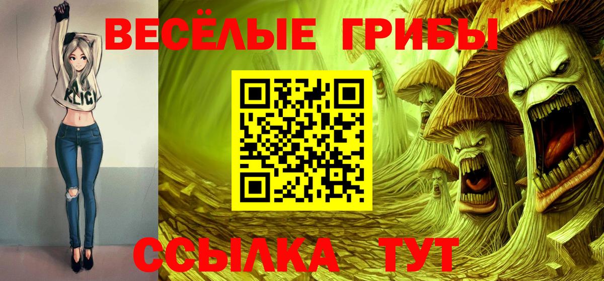 Галлюциногенные грибы Psilocybe Красноуфимск